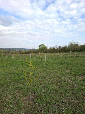 Eladó telek, Balatonkenesén 39.9 M Ft / költözzbe.hu