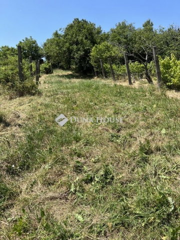 Eladó telek, Kővágószőlősön 15 M Ft / költözzbe.hu