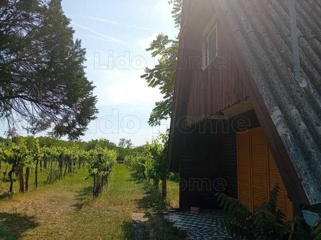 Eladó mezogazdasagi ingatlan, Balatonőszödön 25 M Ft, 1 szobás