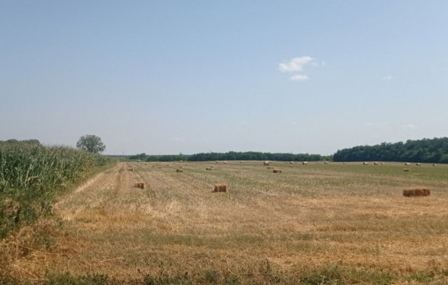 Eladó ipari ingatlan, Dabason 470 M Ft / költözzbe.hu