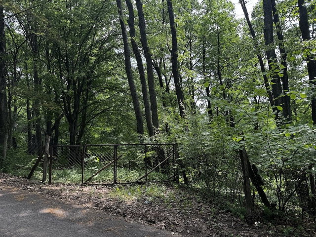 Eladó telek, Mátraszentimrén, Kankalin utcában 21.9 M Ft