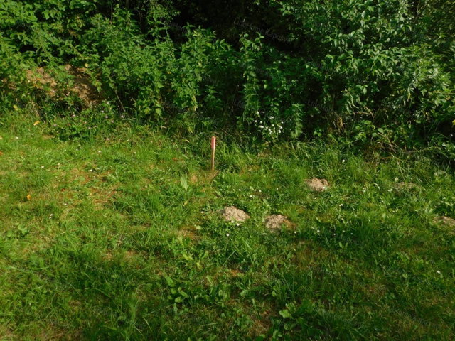 Eladó telek, Kaposváron 6.5 M Ft / költözzbe.hu