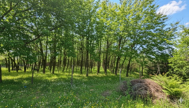 Eladó családi ház, Kecskeméten 20.5 M Ft, 2 szobás