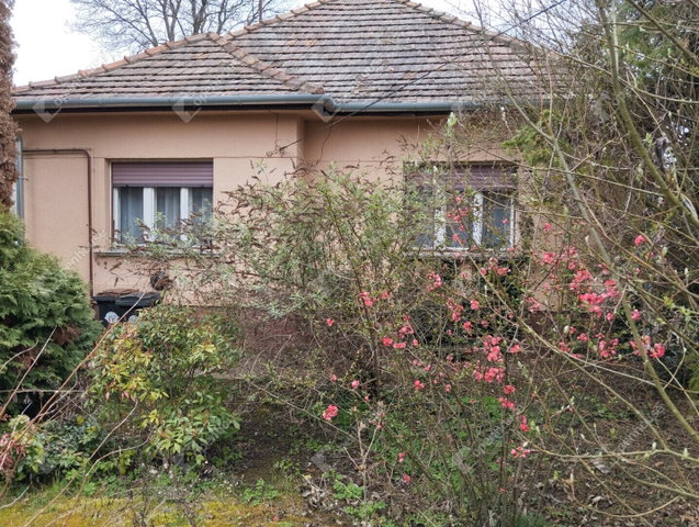 Eladó családi ház, Győrött 50 M Ft, 3 szobás