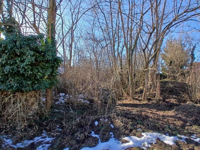 Eladó mezogazdasagi ingatlan, Bakonygyiróton 6.5 M Ft
