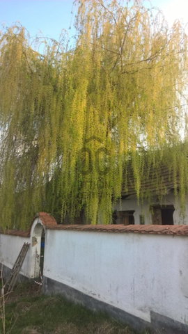 Eladó sorház, Tardoson 8 M Ft, 2 szobás / költözzbe.hu