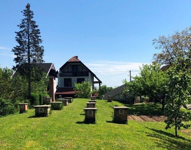 Eladó üzlethelyiség, Lentiben 91.5 M Ft, 2 szobás