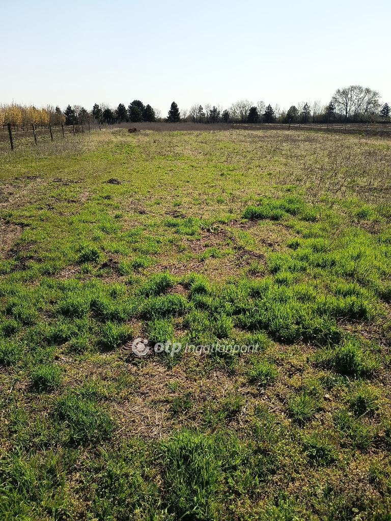 Telek · 1779 m² · 43.000.000 Ft
