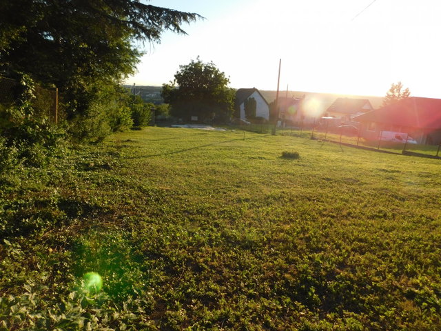 Eladó telek, Cserszegtomajon, Barát utcában 27.5 M Ft