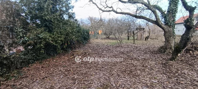 Eladó telek, Szigetújfalun 14 M Ft / költözzbe.hu