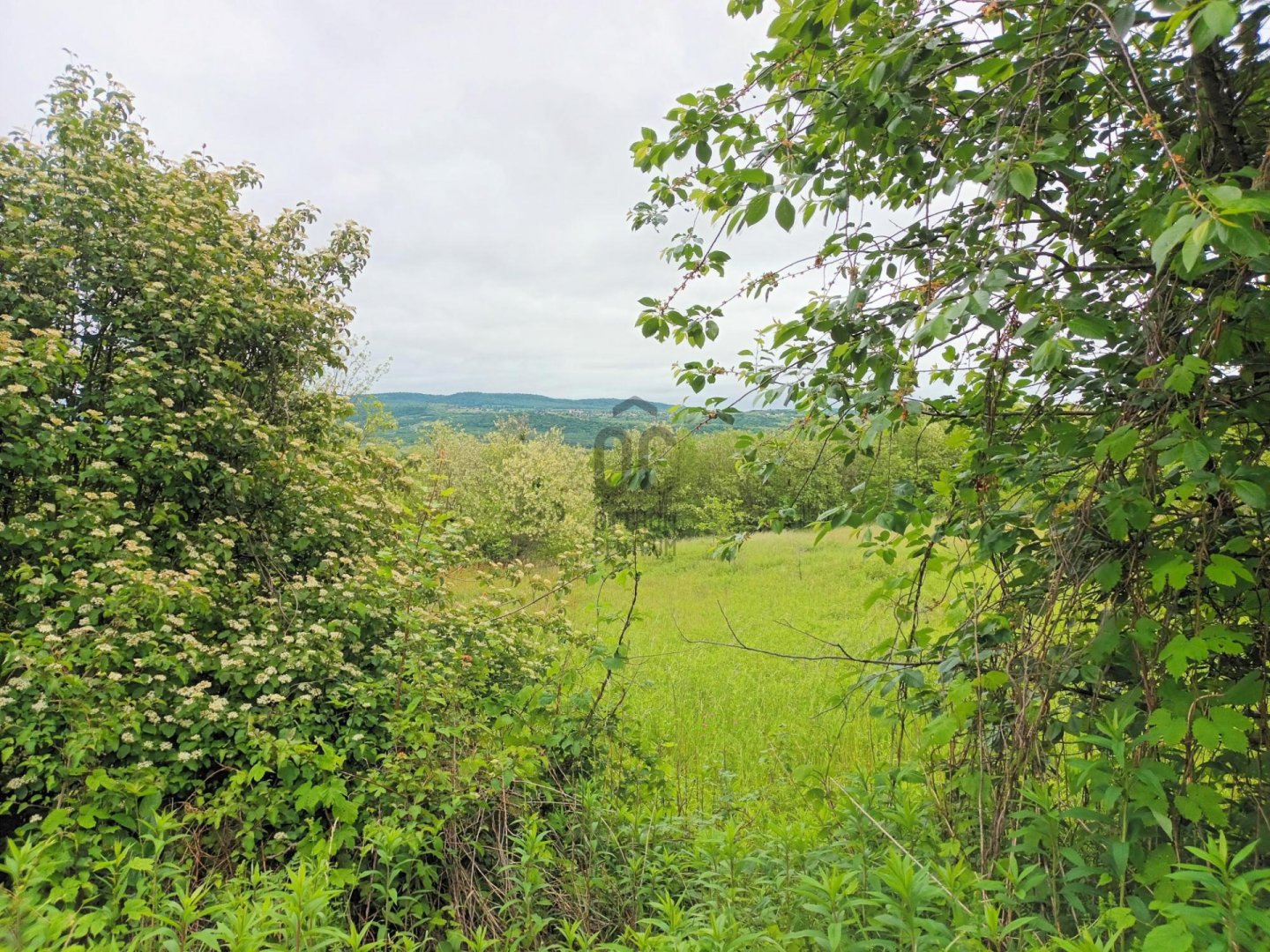 1705m² · 2.500.000 ft