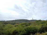 Eladó telek, Pécsett 8.9 M Ft / költözzbe.hu