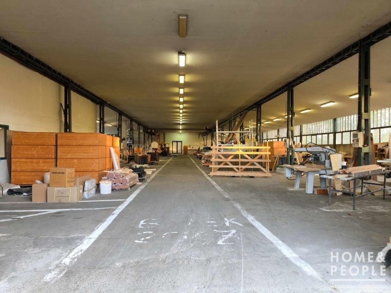 1300m² · 150.000.000 ft