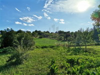 Eladó mezogazdasagi ingatlan, Nyúlon 10.9 M Ft