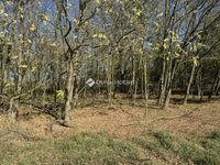 Eladó mezogazdasagi ingatlan, Harkányban 22.9 M Ft