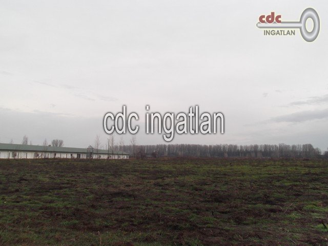 Eladó telek, Újhartyánon 34 M Ft / költözzbe.hu