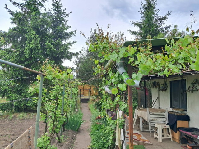 Eladó telek, Debrecenben 14.9 M Ft / költözzbe.hu