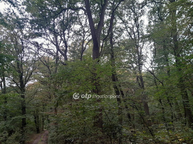 Eladó mezogazdasagi ingatlan, Tarjánon 38 M Ft