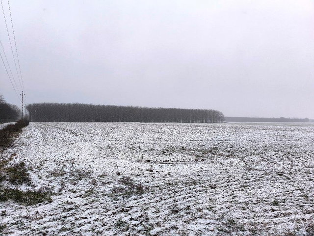 Eladó telek, Ócsán 1436 M Ft / költözzbe.hu
