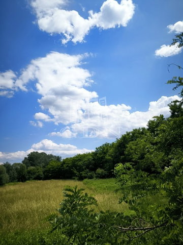 Eladó mezogazdasagi ingatlan, Sződön 19.9 M Ft