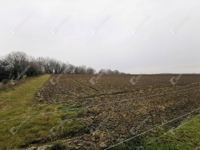 Eladó mezogazdasagi ingatlan, Sármelléken 10.2 M Ft
