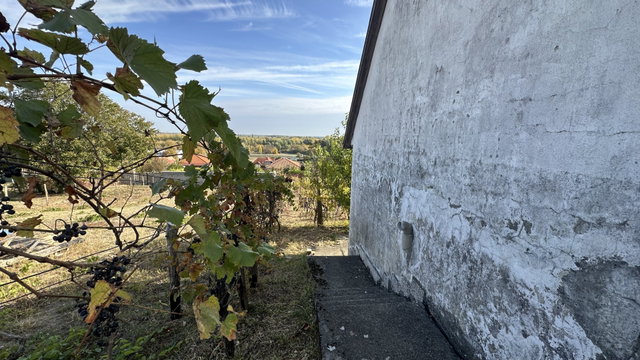Eladó mezogazdasagi ingatlan, Szekszárdon 15 M Ft
