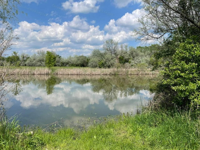 Eladó mezogazdasagi ingatlan, Szolnokon 3.95 M Ft