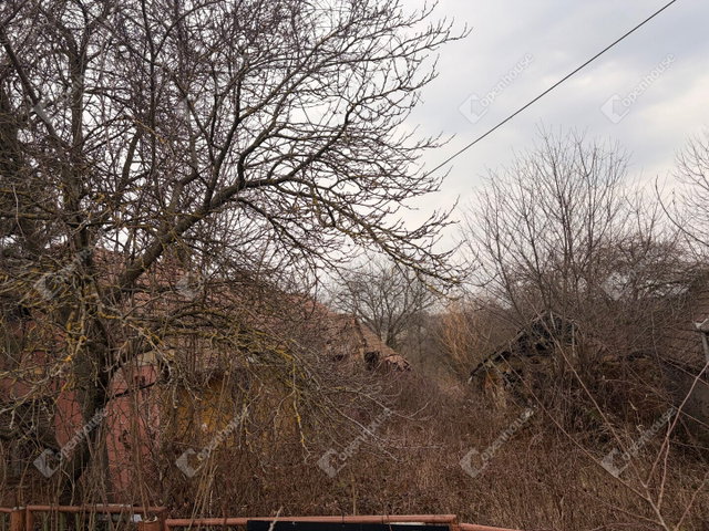 Eladó telek, Kiskutason 9.9 M Ft / költözzbe.hu