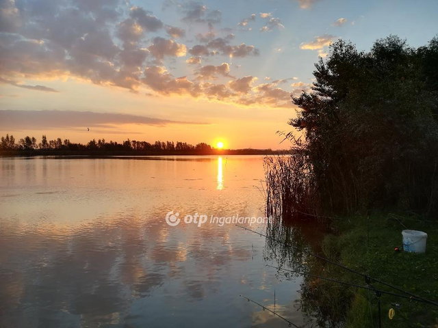 Eladó nyaraló, Faddon 40 M Ft, 1+3 szobás / költözzbe.hu