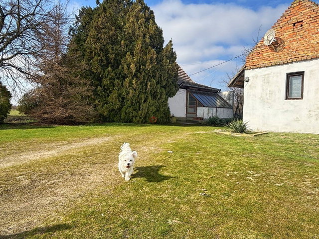 Eladó mezogazdasagi ingatlan, Szatymazon 27 M Ft, 3 szobás