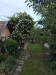 Eladó családi ház, Csanádpalotán, Petőfi utcában 19 M Ft