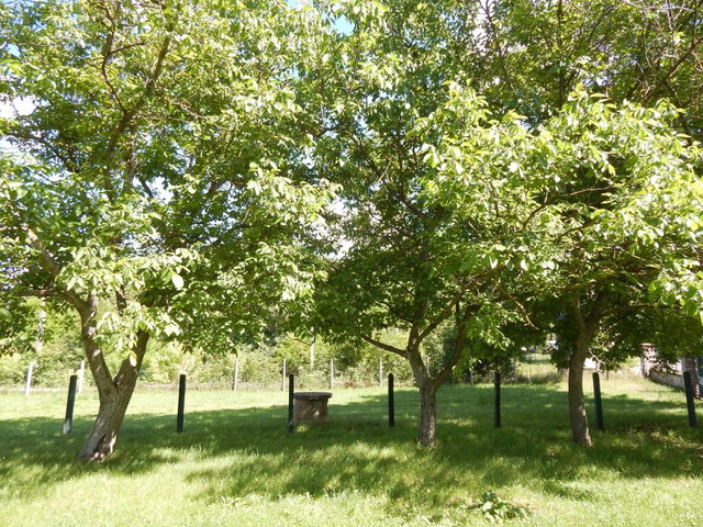 Eladó családi ház, Enyingen 60 M Ft, 4 szobás