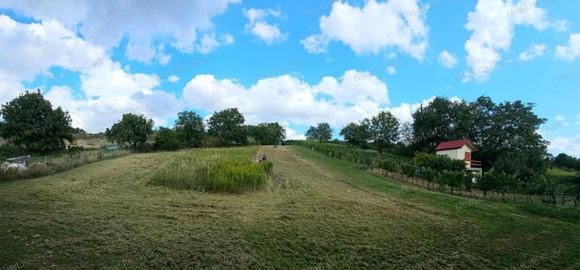 Eladó mezogazdasagi ingatlan, Ravazdon 6.5 M Ft