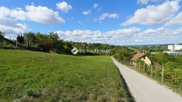 Eladó telek, Zalaegerszegen, Rozmaring utcában 17.5 M Ft
