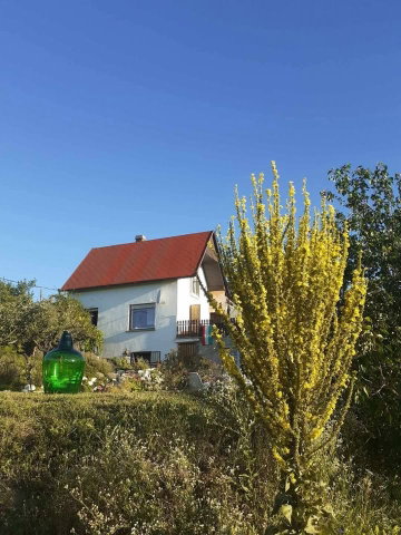 Eladó családi ház, Pécsett 45 M Ft, 3 szobás