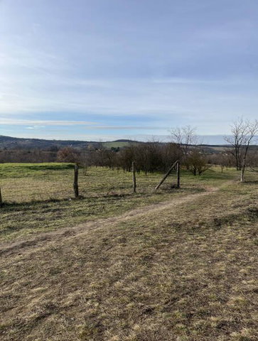 Eladó telek, Piliscsabán 49.9 M Ft / költözzbe.hu