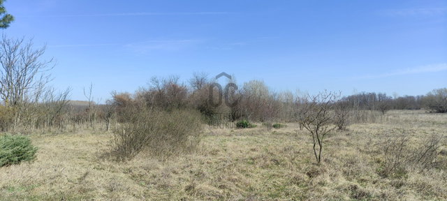 Eladó telek, Szentmártonkátán, Öregszőlő utcában 3 M Ft
