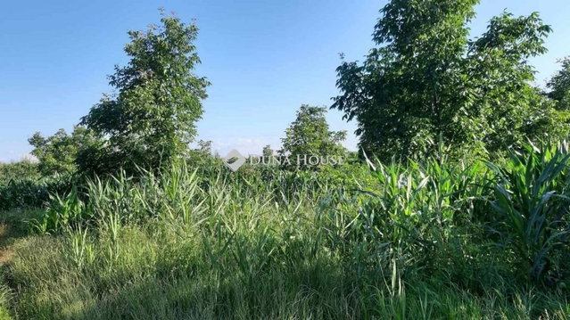 Eladó mezogazdasagi ingatlan, Ököritófülpösön 39.99 M Ft