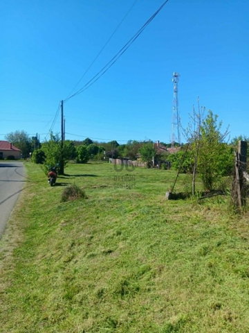 Eladó telek, Drégelypalánkon 7.5 M Ft / költözzbe.hu