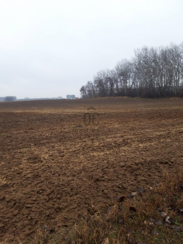 Eladó mezogazdasagi ingatlan, Üllőn 700 M Ft