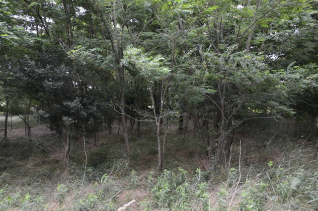 Eladó mezogazdasagi ingatlan, Hévízen 12.6 M Ft