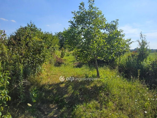 Eladó mezogazdasagi ingatlan, Tatabányán 5.5 M Ft