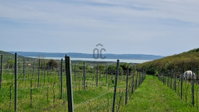 Eladó telek, Balatoncsicsón 45 M Ft / költözzbe.hu