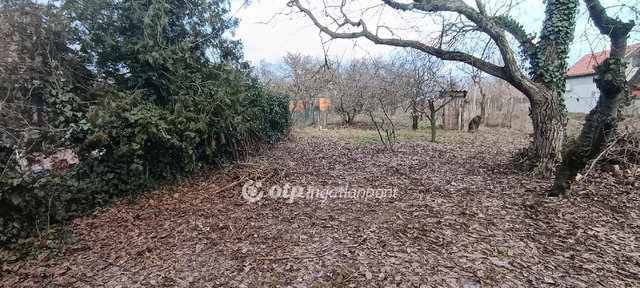 Eladó telek, Szigetújfalun 14 M Ft / költözzbe.hu