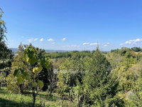 Eladó telek, Zalaegerszegen 3.85 M Ft / költözzbe.hu