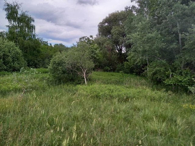 Eladó telek, Oroszlányban 2.99 M Ft / költözzbe.hu
