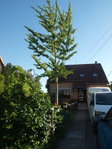 Eladó családi ház, XVIII. kerületben 155 M Ft, 4 szobás
