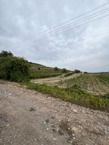 Eladó telek, Pécsett 9.5 M Ft / költözzbe.hu