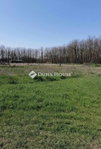 Eladó telek, Kecskeméten 13.5 M Ft / költözzbe.hu