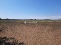 Eladó mezogazdasagi ingatlan, Dabason 30 M Ft